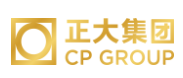 东丽正大集团