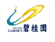 东丽碧桂园地产